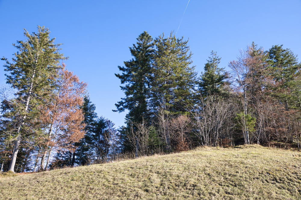 Autunno al Rifugio Meriz