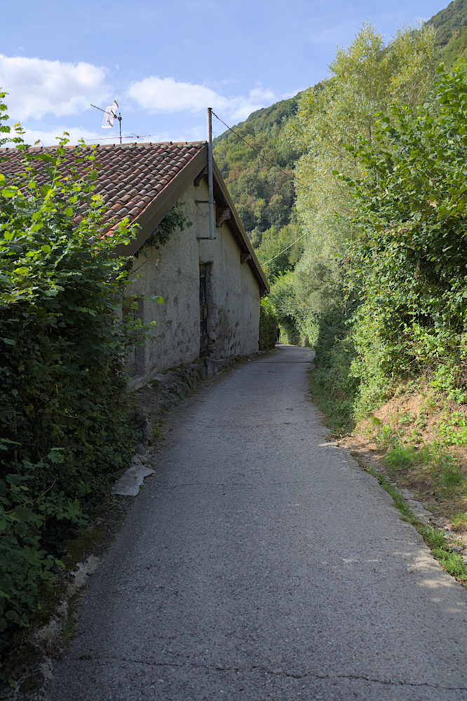 Strada bianca salendo ai Piani di Nava