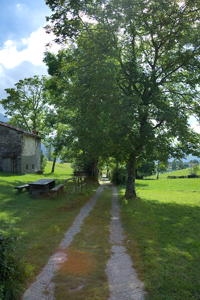 Piani di Nava, prima di prendere l'ultimo tratto di sentiero
