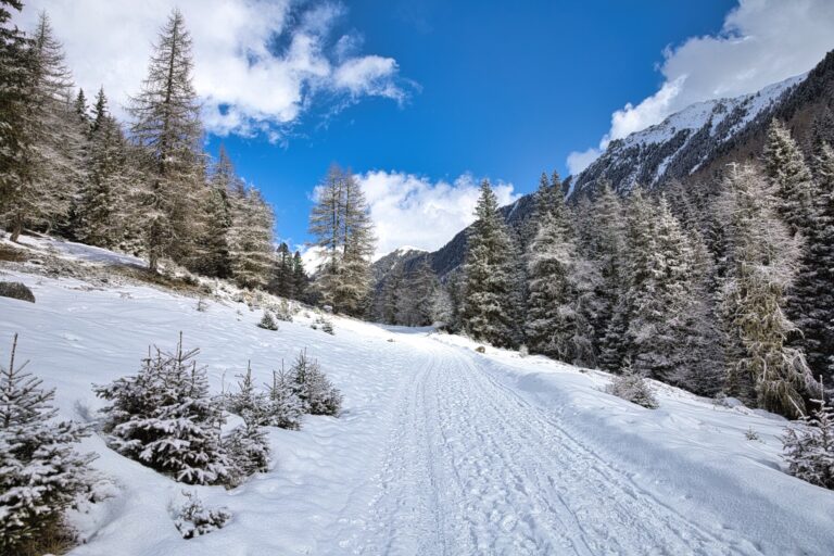 copertina Lercheralm da Villa di Sopra