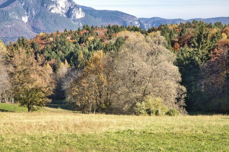 copertina Parco del Respiro a Fai Della Paganella