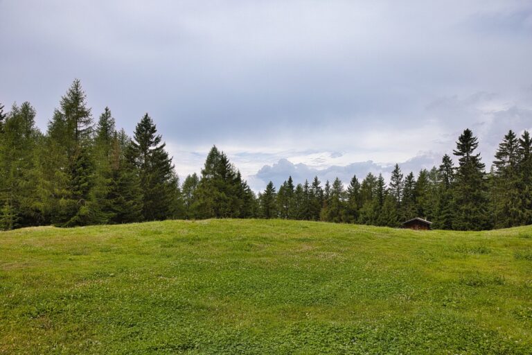 I verdi prati nei pressi della Pertinger Alm