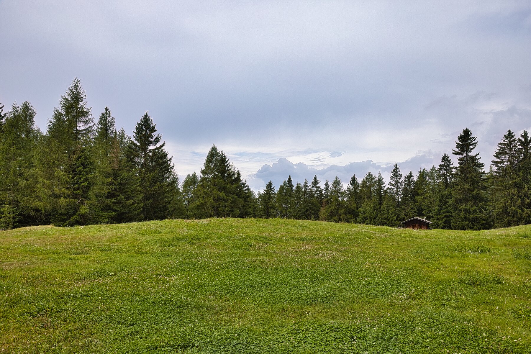 I verdi prati nei pressi della Pertinger Alm