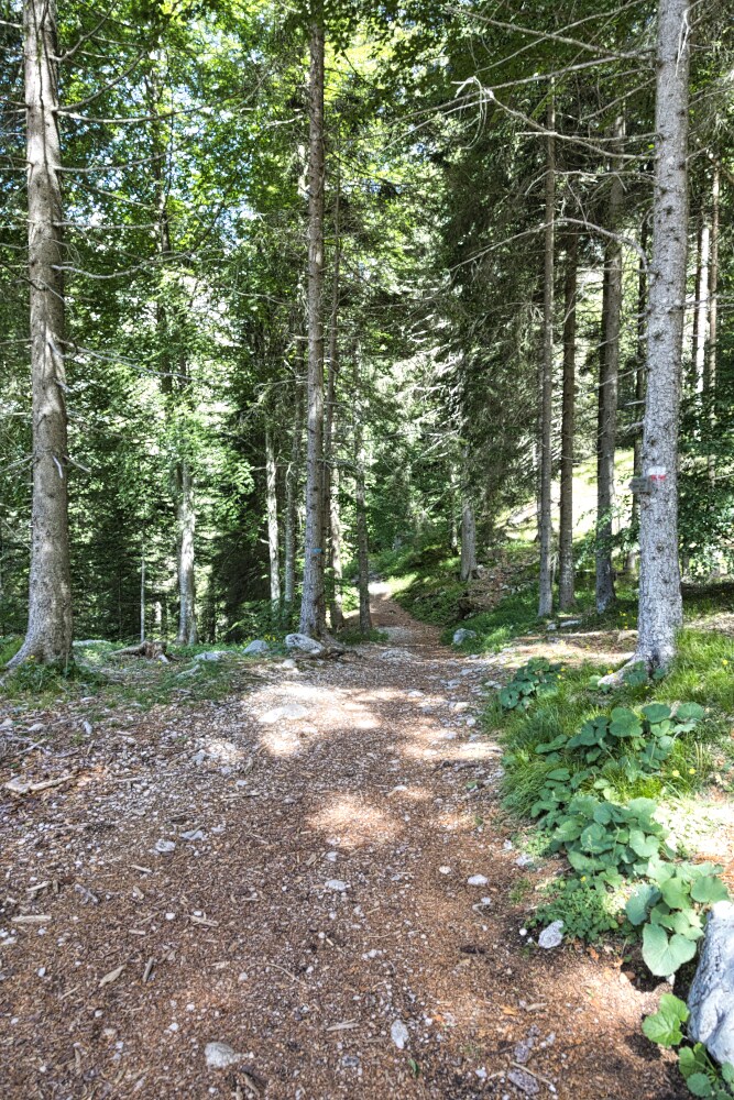 Imbocco del sentiero all'Orso Del Pradel verso il rifugio Croz Dell'altissimo