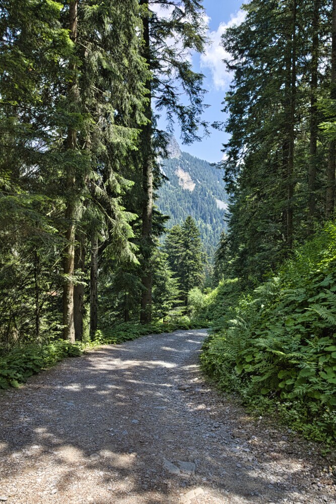 Sentiero 121 verso il rifugio Gremei