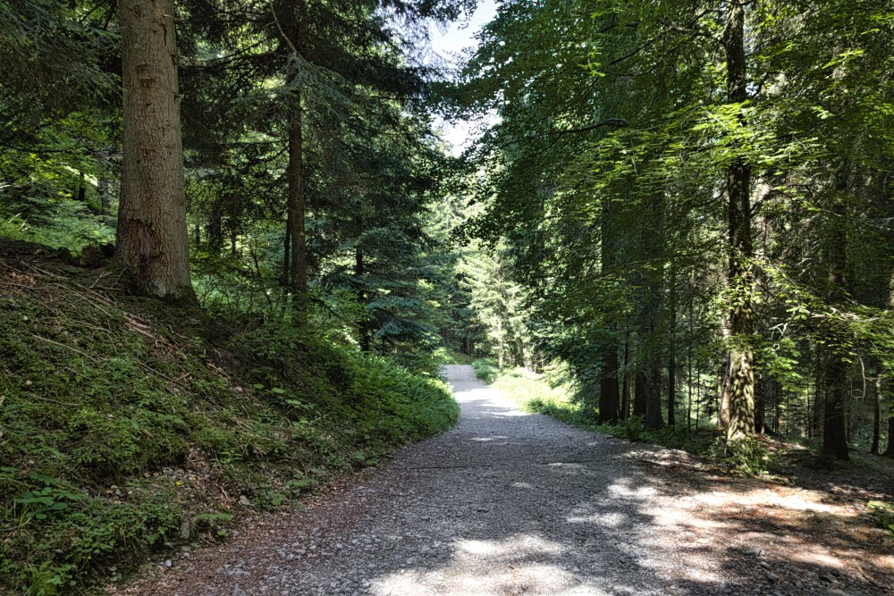 Sentiero 121 verso il rifugio Gremei