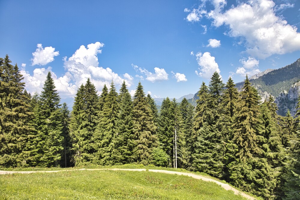 Sentiero 121 verso il rifugio Gremei