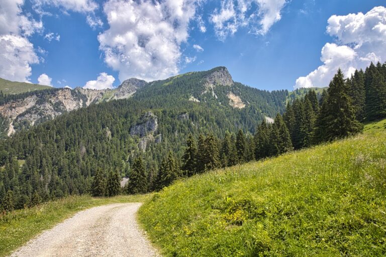 Salendo al rifugio Gremei da Piazzatorre copertina