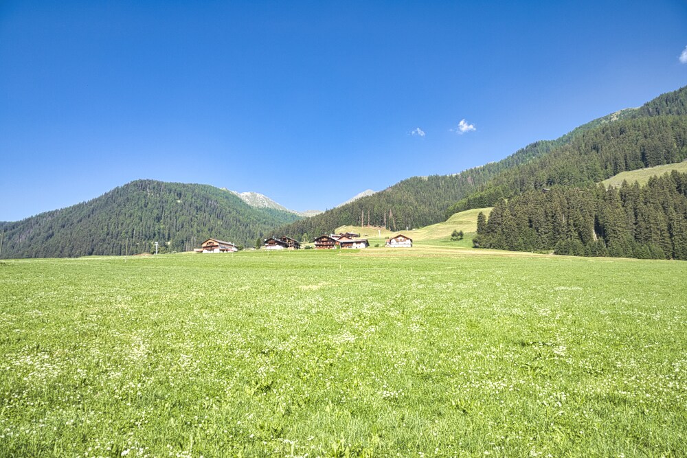 I verdi pascoli della Val Casies