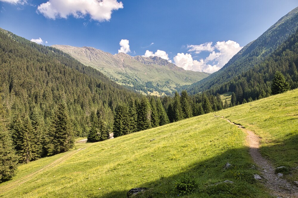 Dopo il bosco il 49A si apre sui pascoli