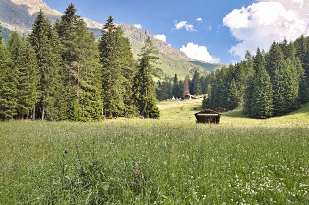 Kradorfer Alm