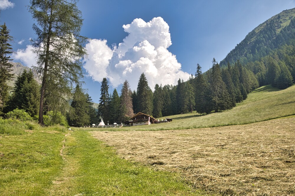 Kradorfer Alm