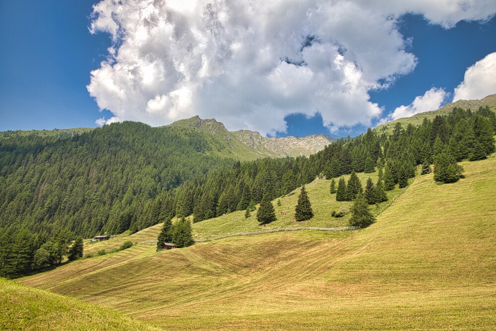 Pascoli della Val Casies