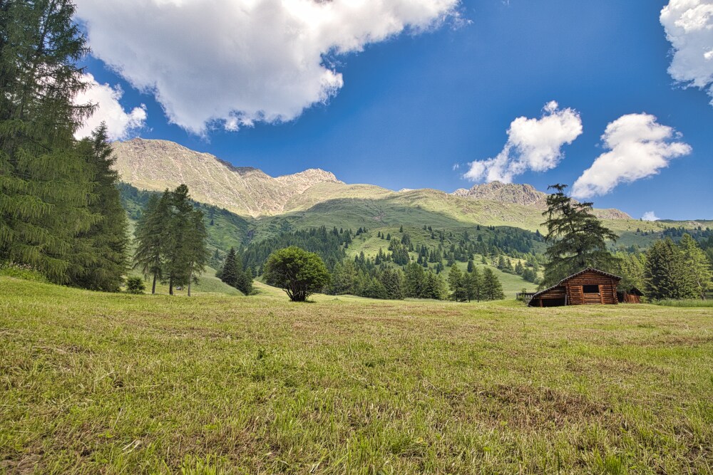 Dopo la Kradorfer Alm verso la Oberberg Alm