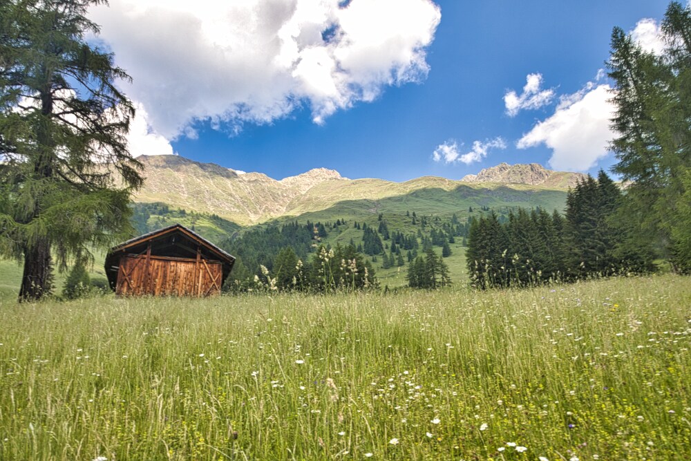 Dopo la Kradorfer Alm verso la Oberberg Alm