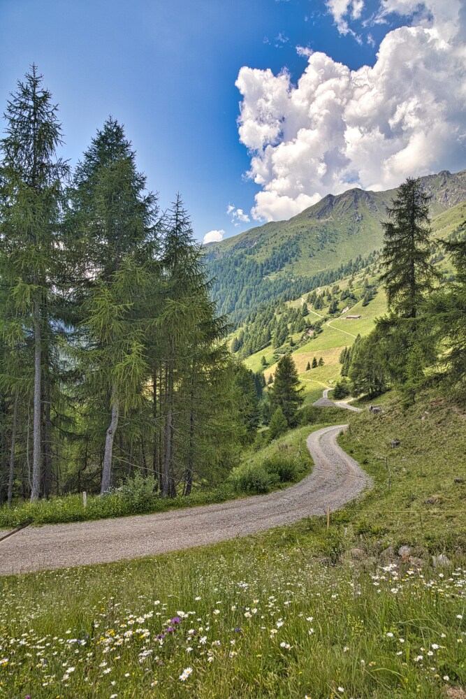 Strada sterrata che sale verso le Oberberg Alm