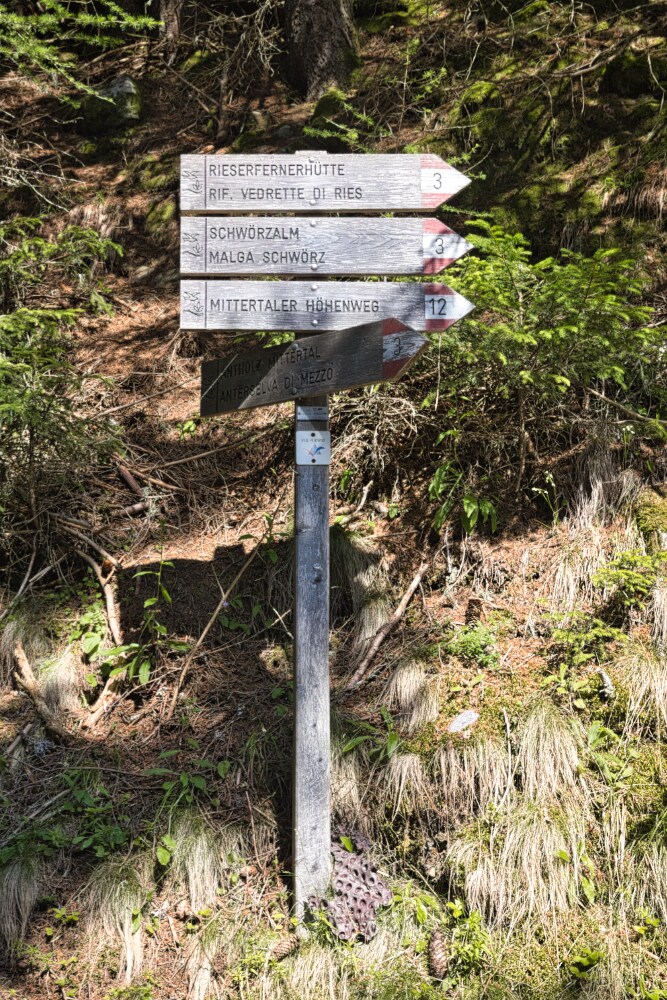 Scorciatoia nel bosco ormai quasi giunti alla Bergeralm