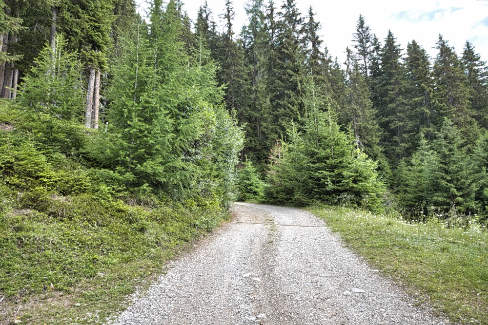 Salendo alla Ascht Alm