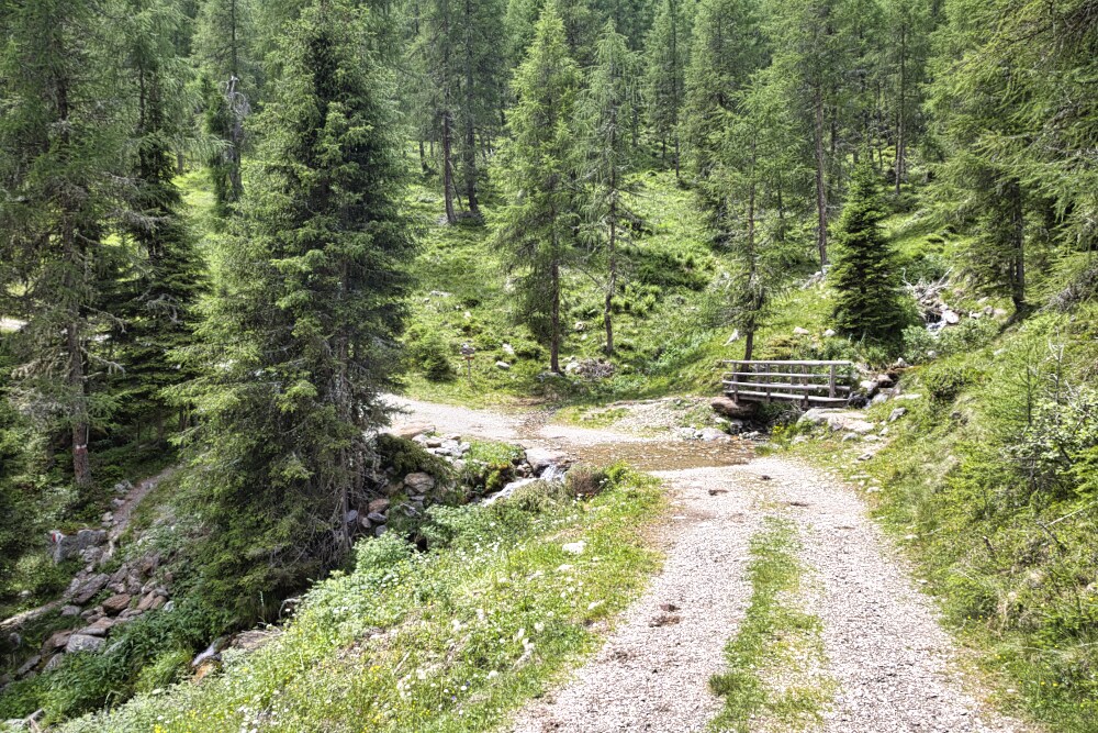 Dopo questo ponte si imbocca il sentiero 10
