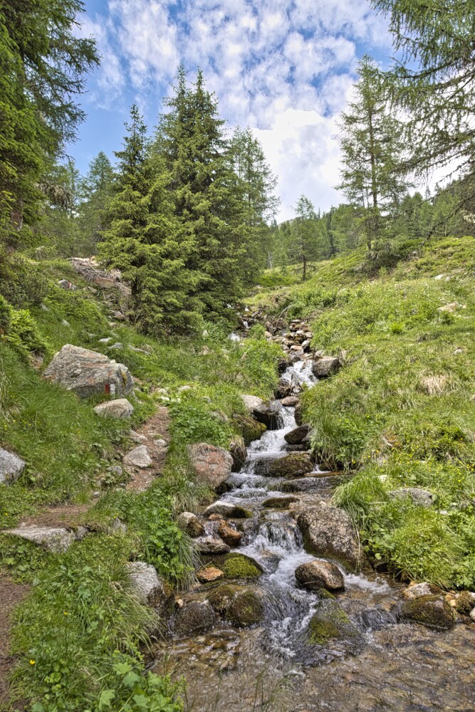 Sentiero 10 che costeggia il torrente