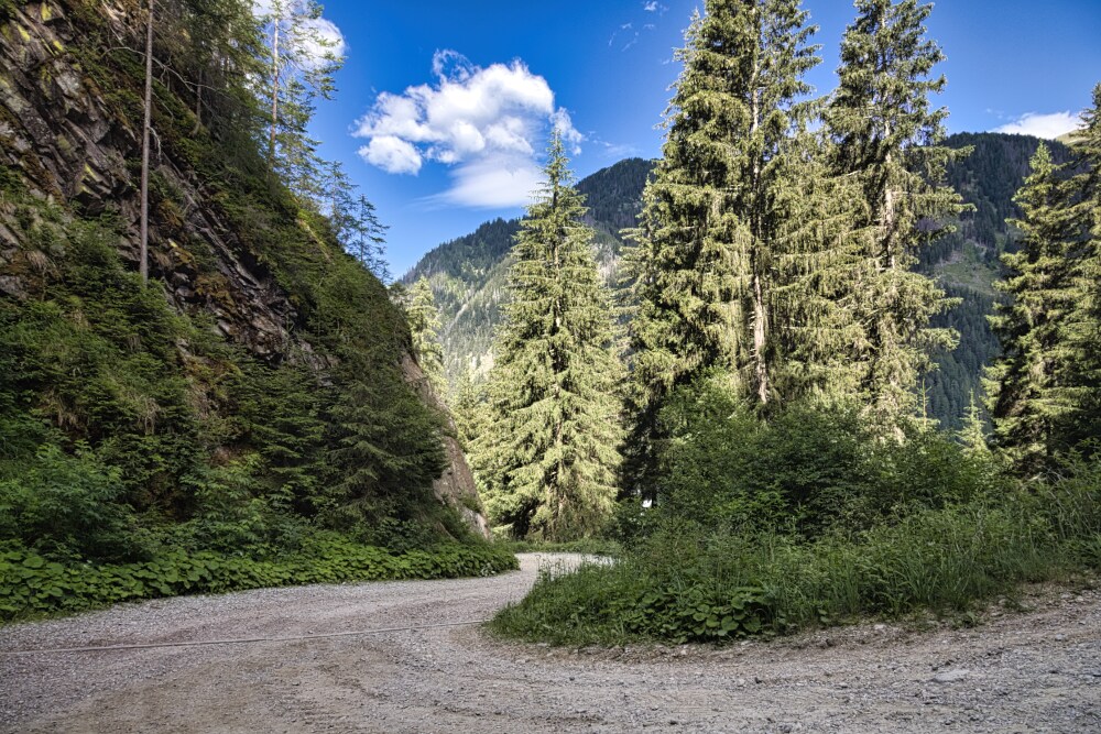 Dopo i primi tornanti la strada spiana