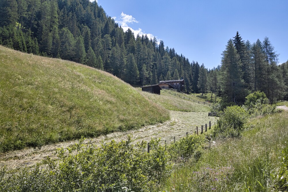 Randlhütte e i suoi pascoli