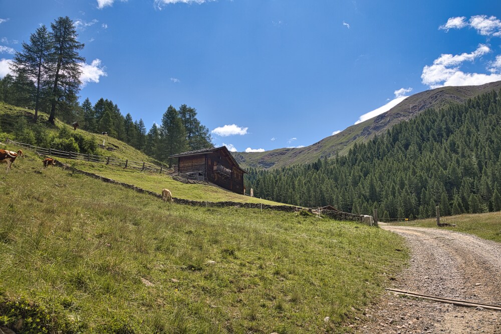 Tolderhütte