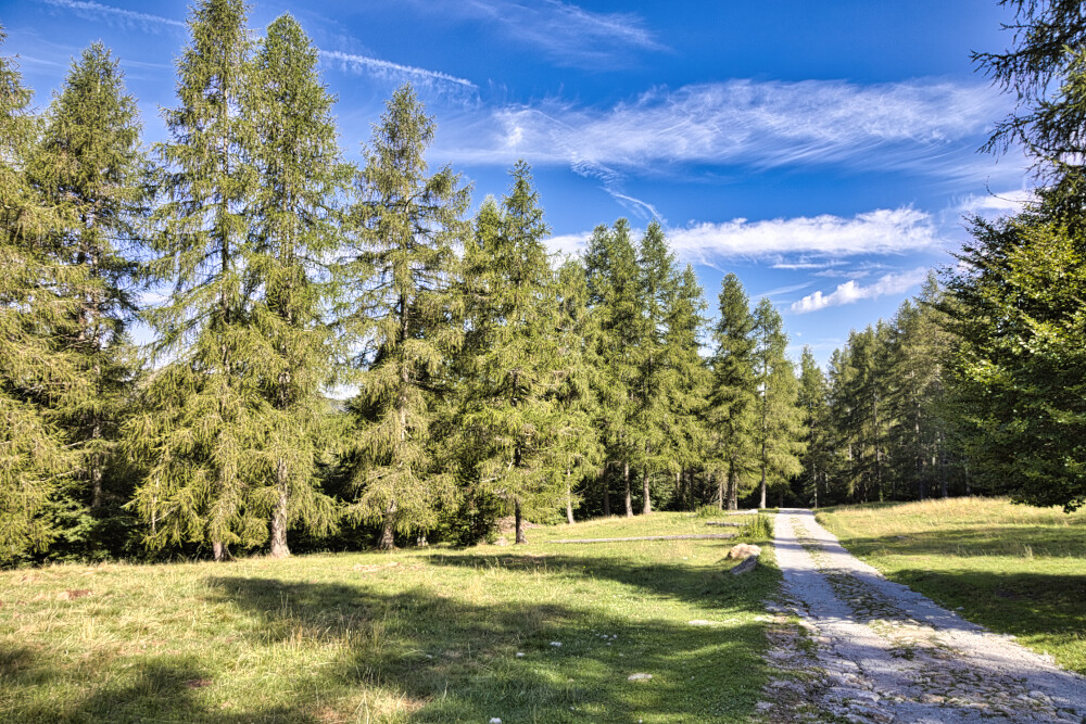 Dall'Alpe Paglio al Pian Delle Betulle