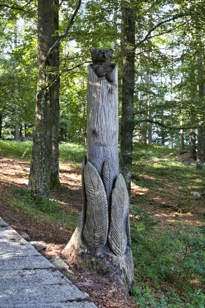Sculture di legno nei pressi del Pian Delle Betulle