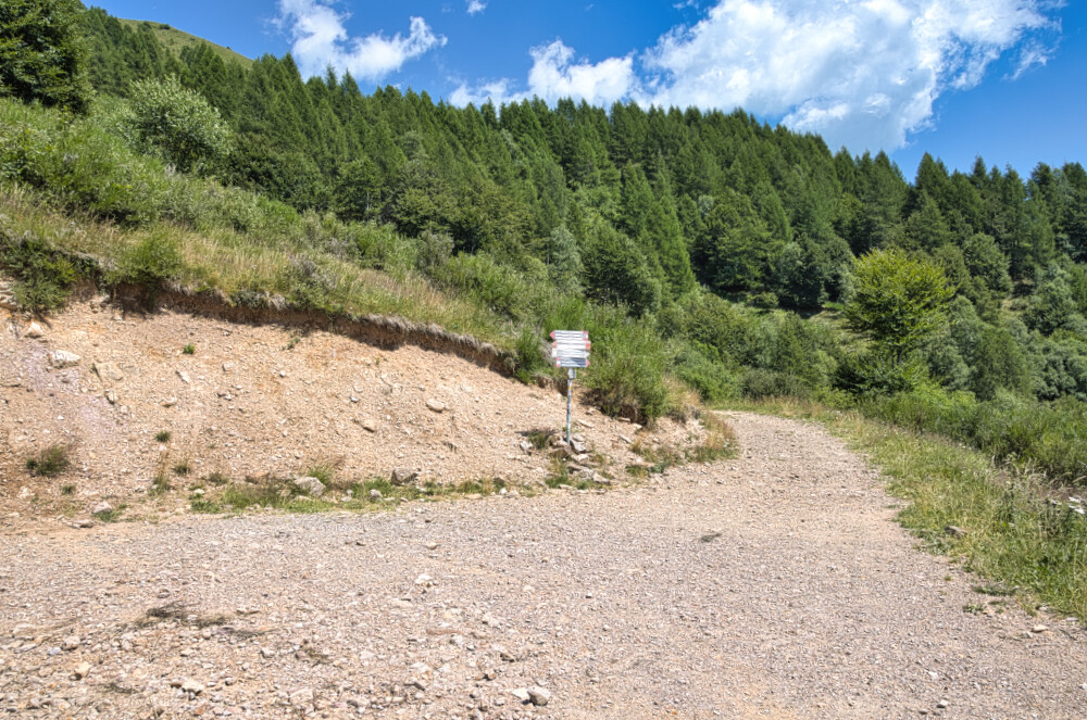 Dopo l'Alpe Ortighera attenzione a questo bivio: si va a sinistra