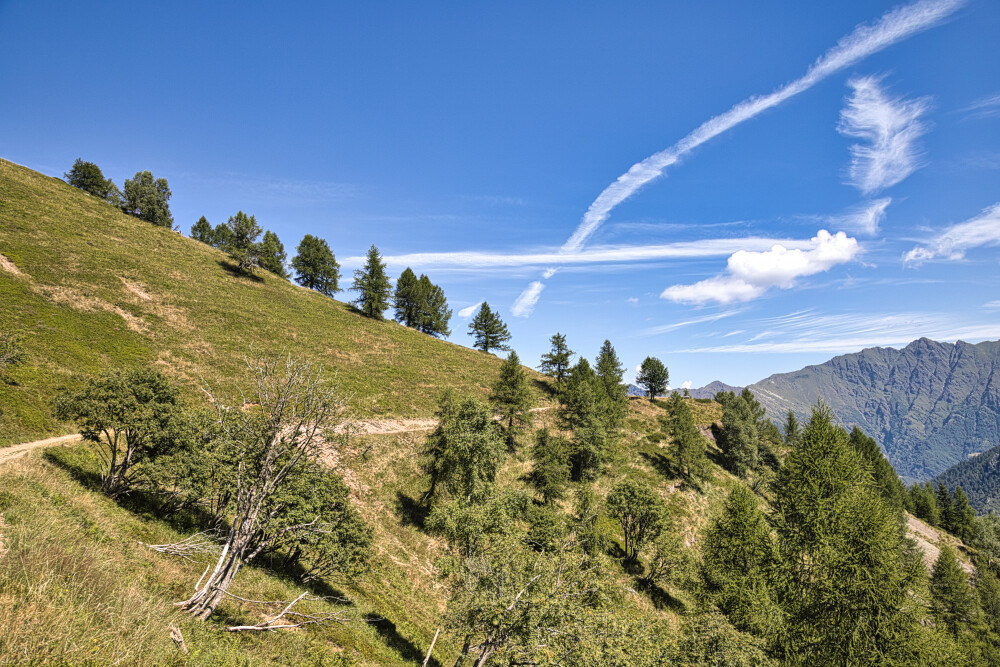 Risalendo dalla Bocchetta di Olino al Lares Brusaa