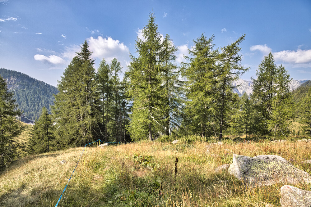 Pascoli sopra Foppolo in direzione Passo e Rifugio Dordona