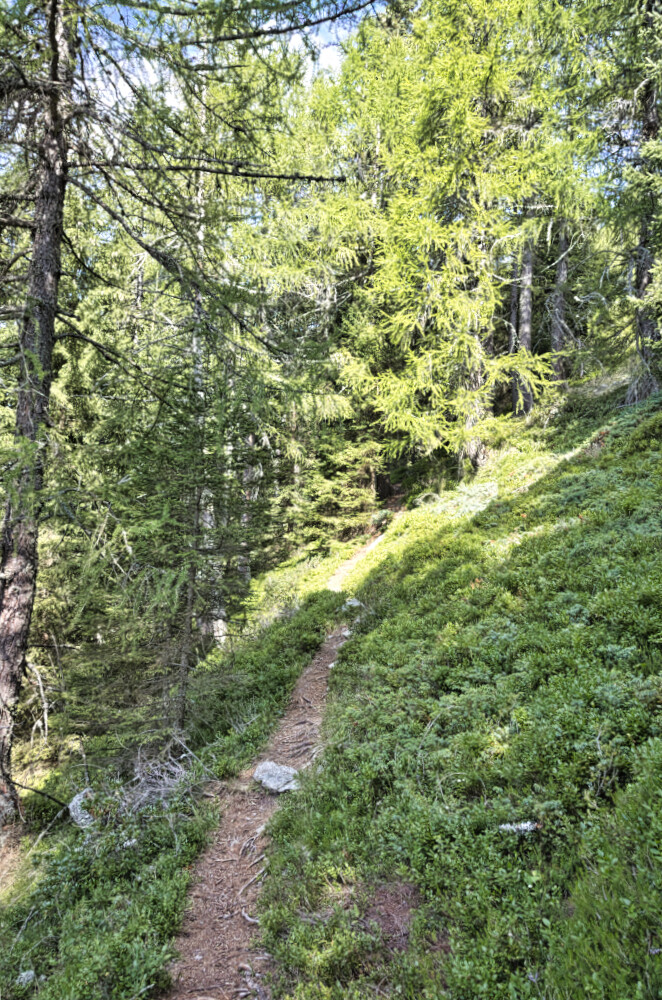 Inizio del sentiero panoramico per il Passo Dordona