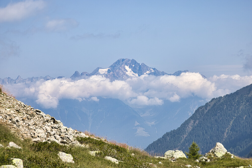 Monte Disgrazia dal Passo Dordona