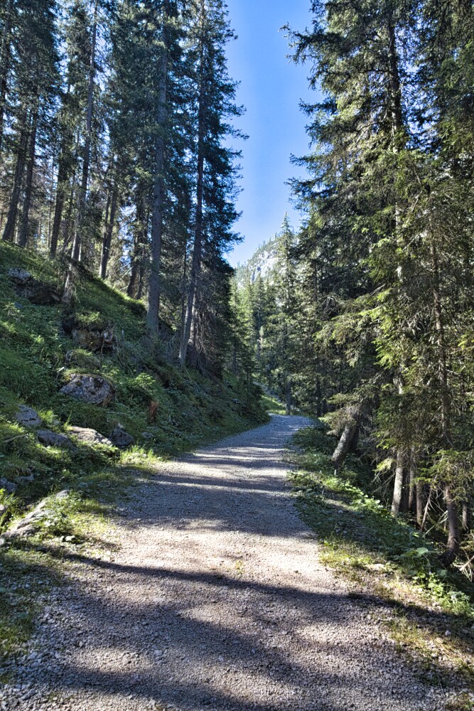 Segnavia 18 verso Malga Stolla