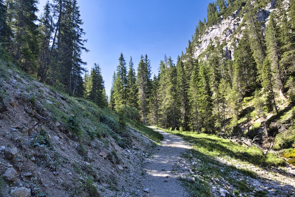 Sentiero 18 verso Malga Stolla