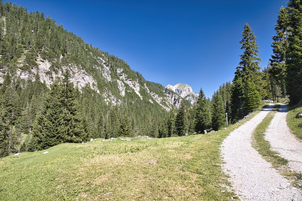 Il sentiero 18 (a sinistra) incrocia la strada bianca