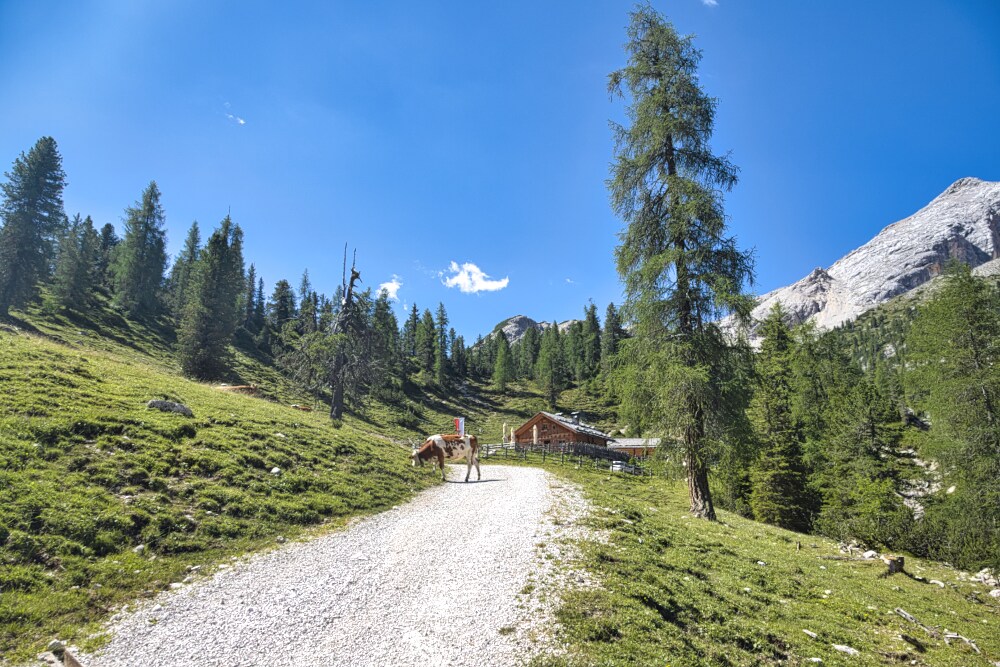 Malga Stolla