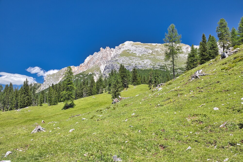 Picco di Vallandro