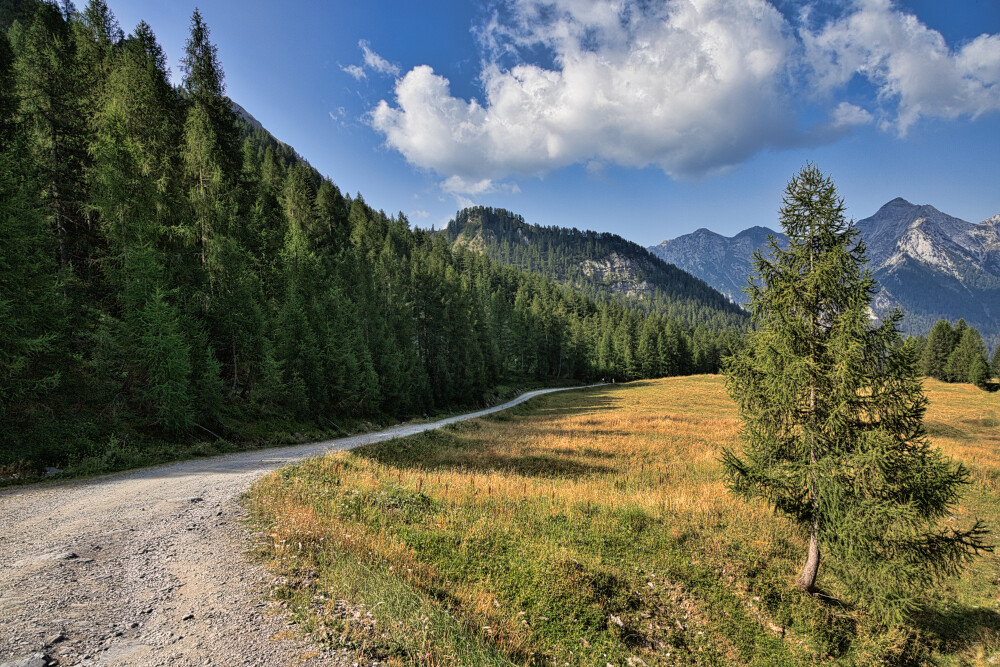 La larga e comoda strada sterrata che sale fa Foppolo al Passo della Croce
